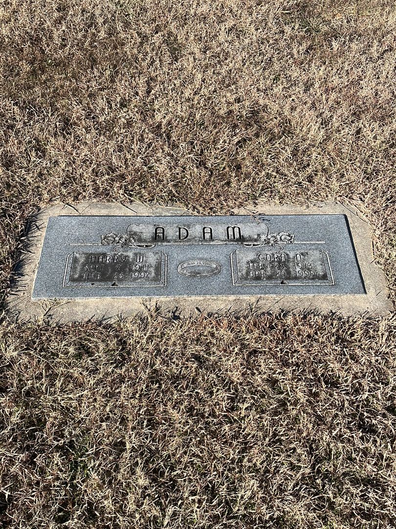 Cora N. Adam's grave. Photo 1