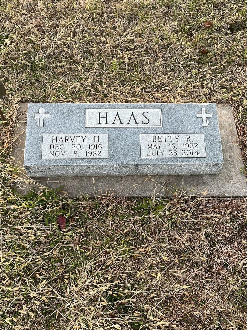Harvey H. Haas's grave. Photo 1